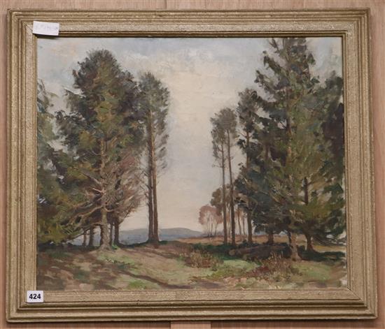 Miss E. Scott Malden, oil on canvas, The Top of the Hill, RSA label verso, 50 x 60cm
